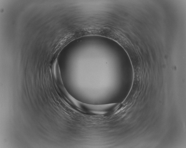 X0000071971298200607141449