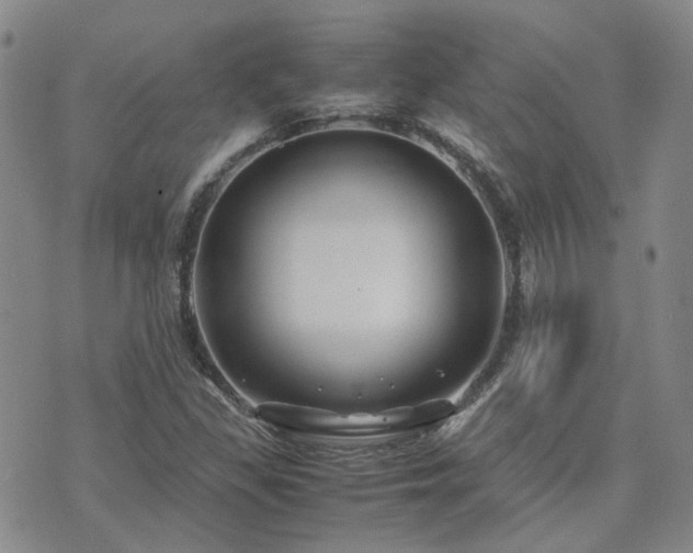 X0000071971309200607141449