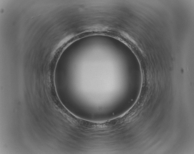 X0000071971315200607141450