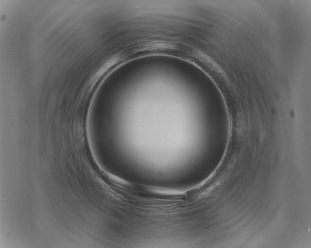 X0000071971321200607141450