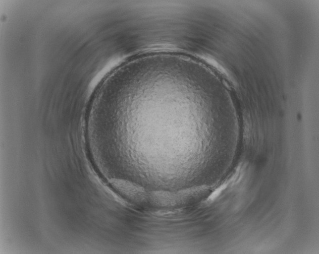 X0000071971325200607141450