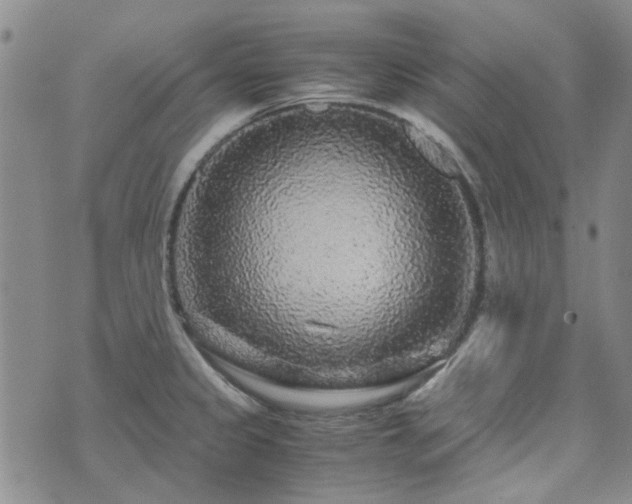 X0000071971333200607141450