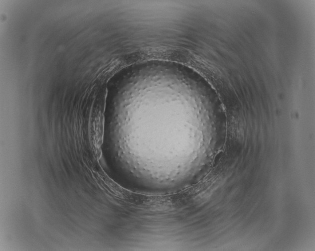X0000071971346200607141449