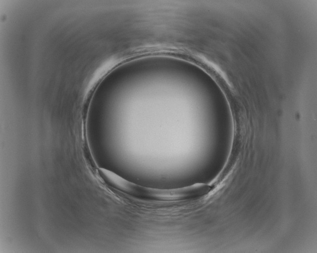 X0000071971365200607141449