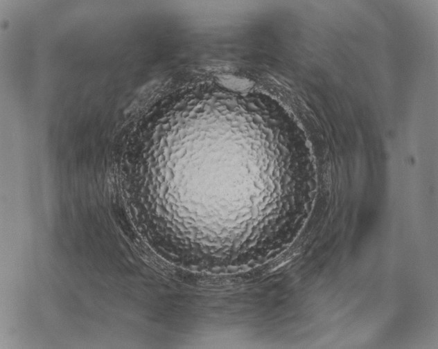 X0000071971397200607141448