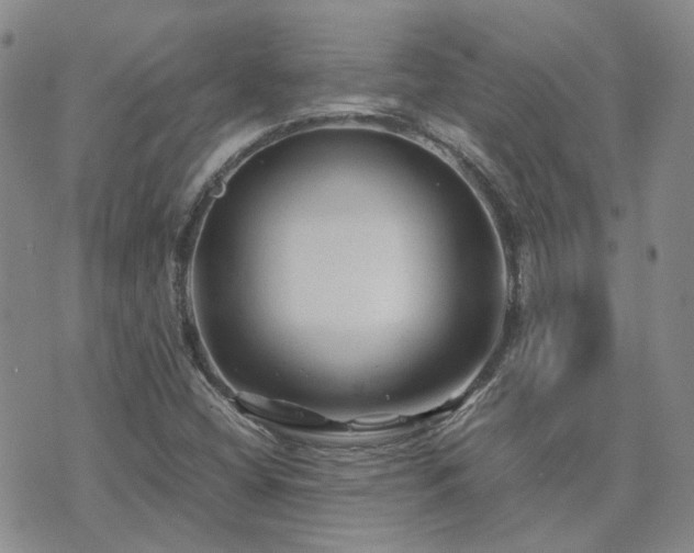 X0000071971404200607141448