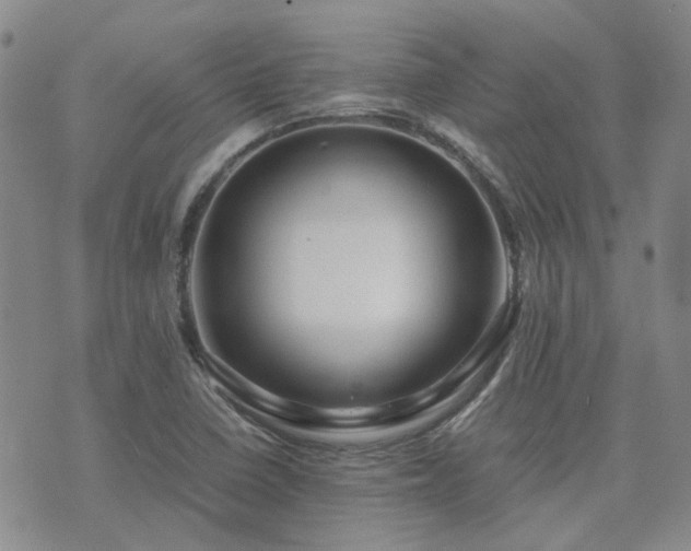X0000071971410200607141448