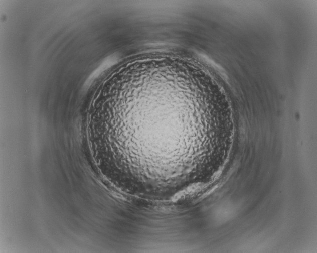 X0000071971411200607141448