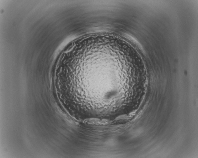 X0000071971419200607141448