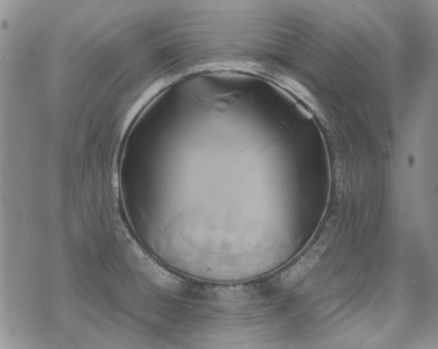 X0000071971428200607141448