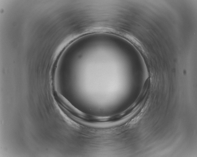 X0000071971430200607141448