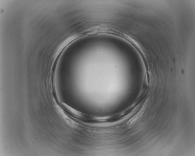 X0000071971434200607141448