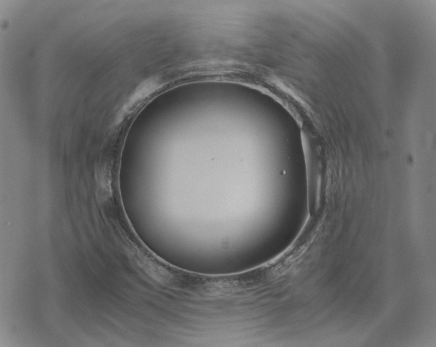 X0000071971451200607141447