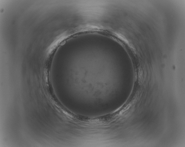 X0000071971455200607141447