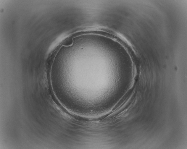 X0000071971456200607141447