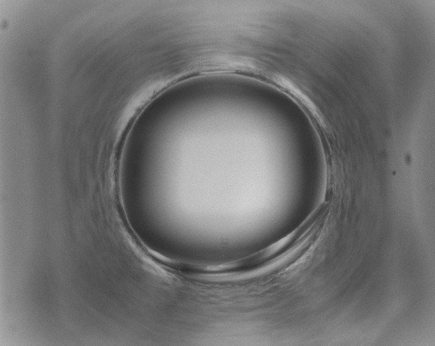 X0000071971477200607141447