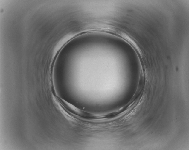 X0000071971485200607141447