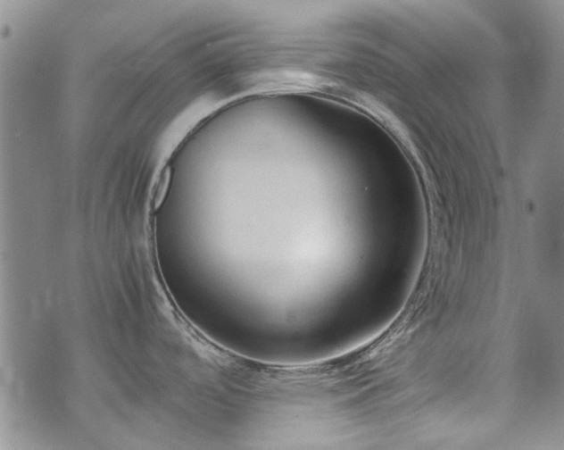 X0000071971488200607141447