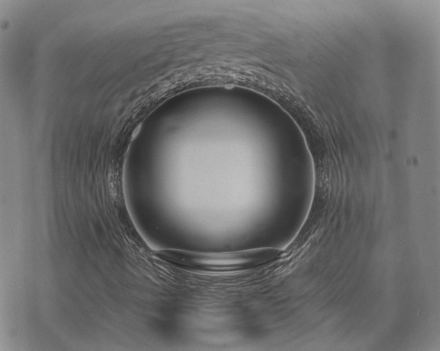 X0000071971490200607141446