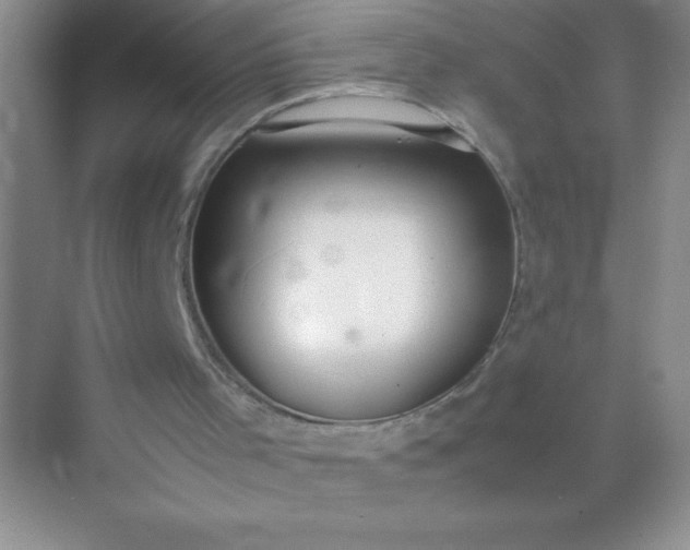 X0000071970001200607212330