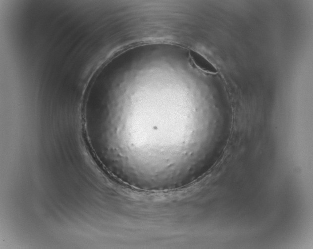 X0000071970002200607212330