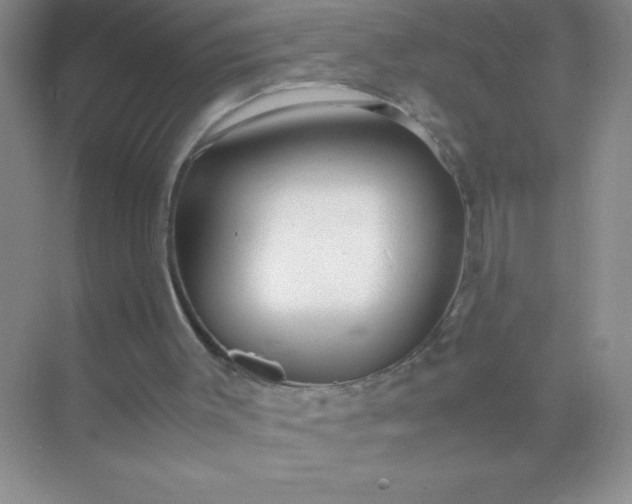 X0000071970003200607212330