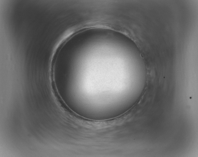 X0000071970006200607212330