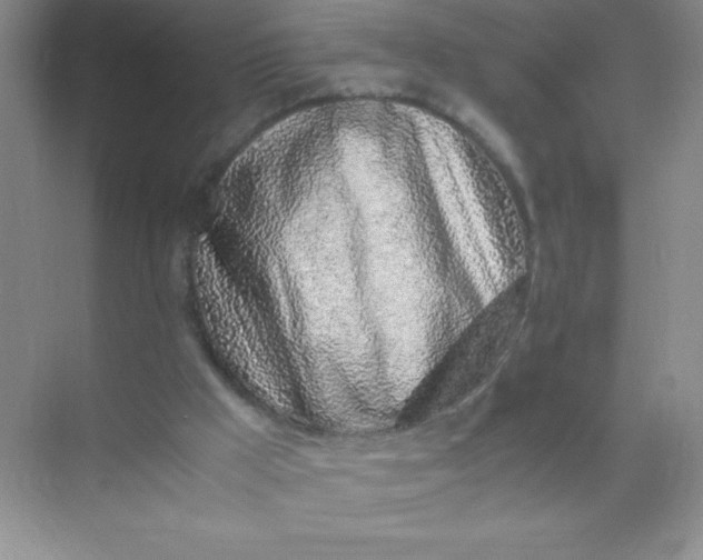 X0000071970009200607212330