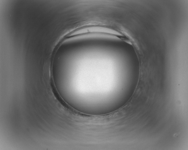 X0000071970011200607212330