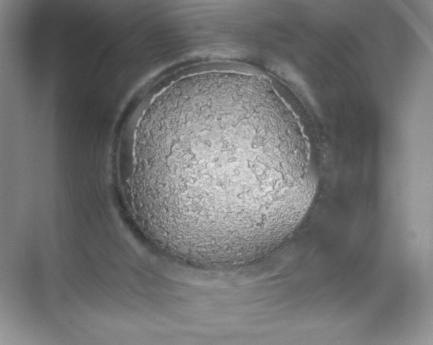 X0000071970012200607212330