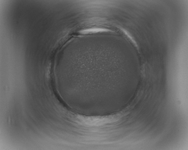 X0000071970018200607212330