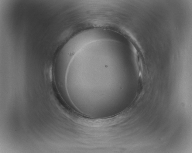 X0000071970019200607212330