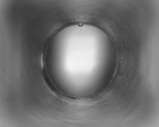 X0000071970020200607212330