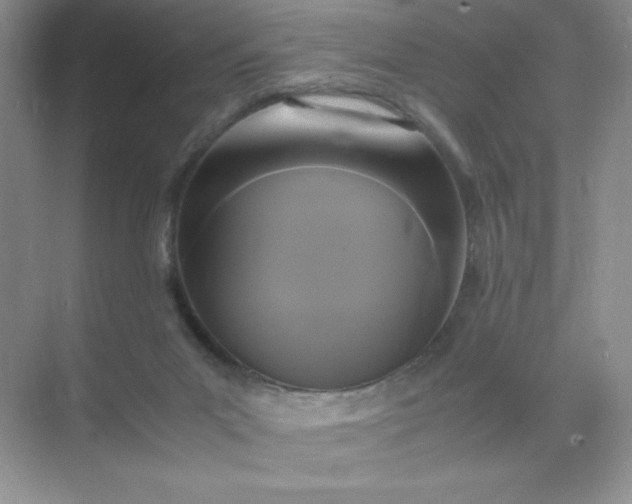 X0000071970023200607212330