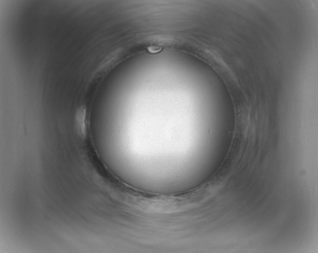 X0000071970024200607212330