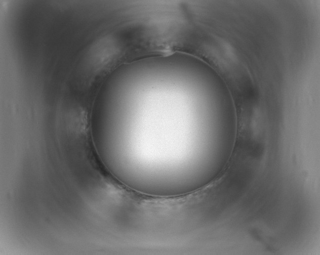 X0000071970025200607212330