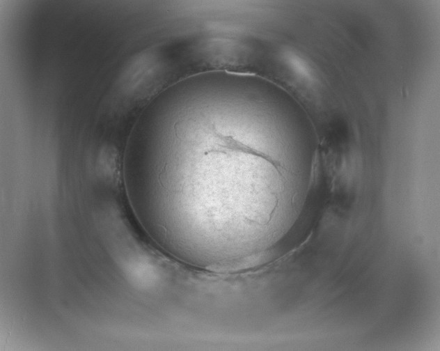 X0000071970029200607212330