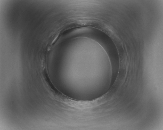 X0000071970031200607212330