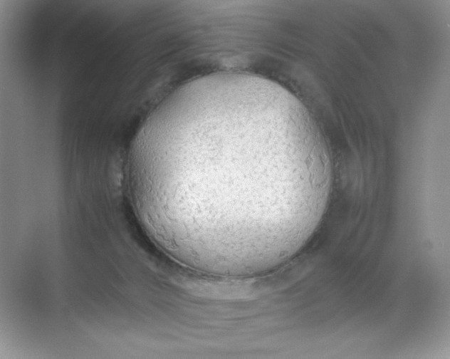 X0000071970032200607212330