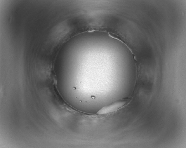 X0000071970033200607212330