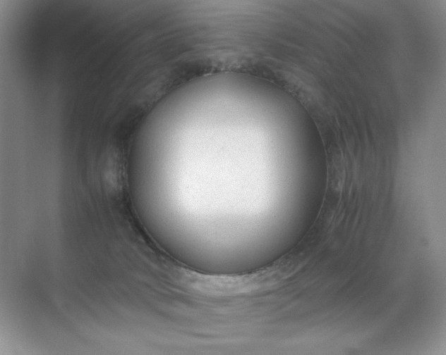 X0000071970034200607212330