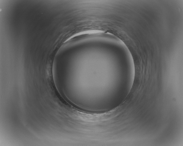 X0000071970035200607212329