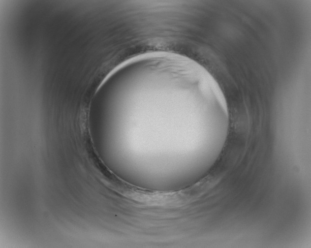 X0000071970036200607212329