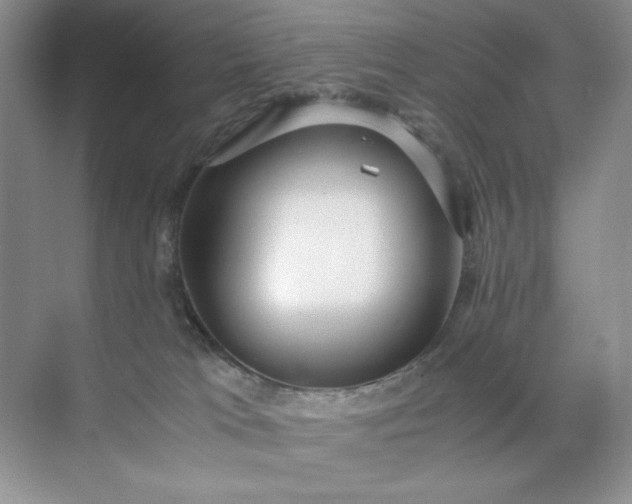 X0000071970037200607212329