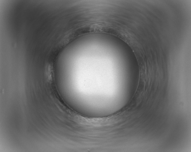 X0000071970038200607212329