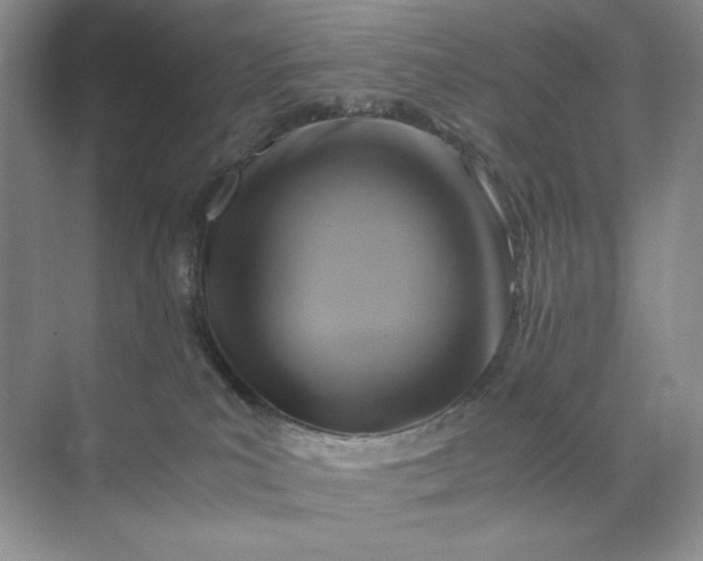 X0000071970039200607212329