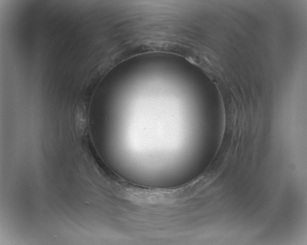 X0000071970040200607212329