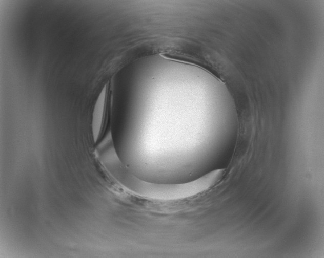 X0000071970041200607212329