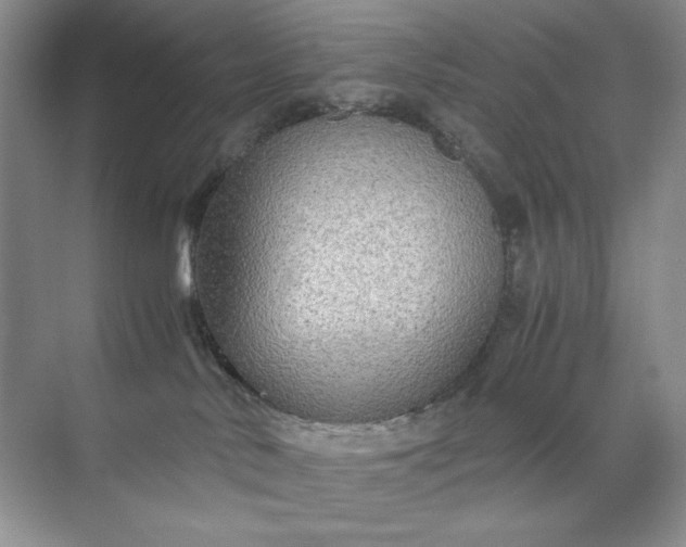 X0000071970042200607212329