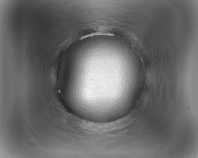 X0000071970043200607212329